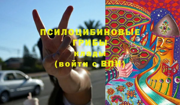 ГАЛЛЮЦИНОГЕННЫЕ ГРИБЫ Елабуга
