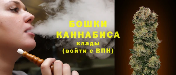 ГАЛЛЮЦИНОГЕННЫЕ ГРИБЫ Елабуга