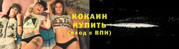 ГАЛЛЮЦИНОГЕННЫЕ ГРИБЫ Елабуга