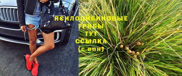 гидропоника Елизово
