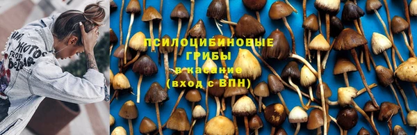 гидропоника Елизово