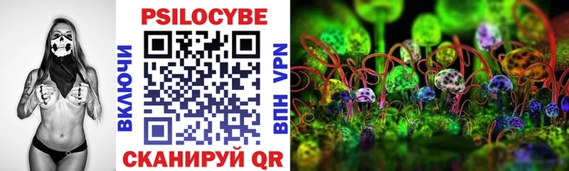 Псилоцибиновые грибы мицелий  Купить закладки  Ишимбай 